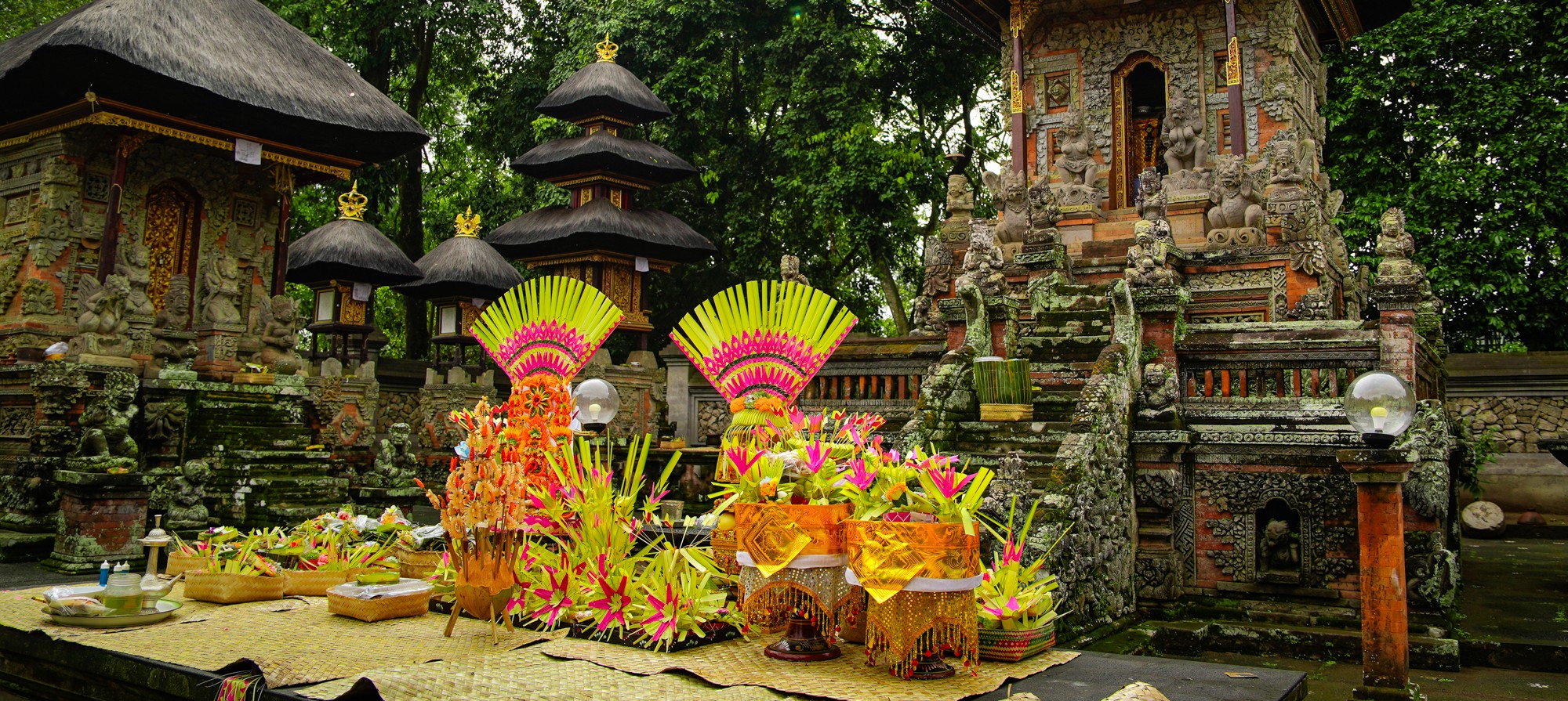 Alasee Cafe Hadirkan Nuansa Nusantara dengan Sentuhan Menu Western